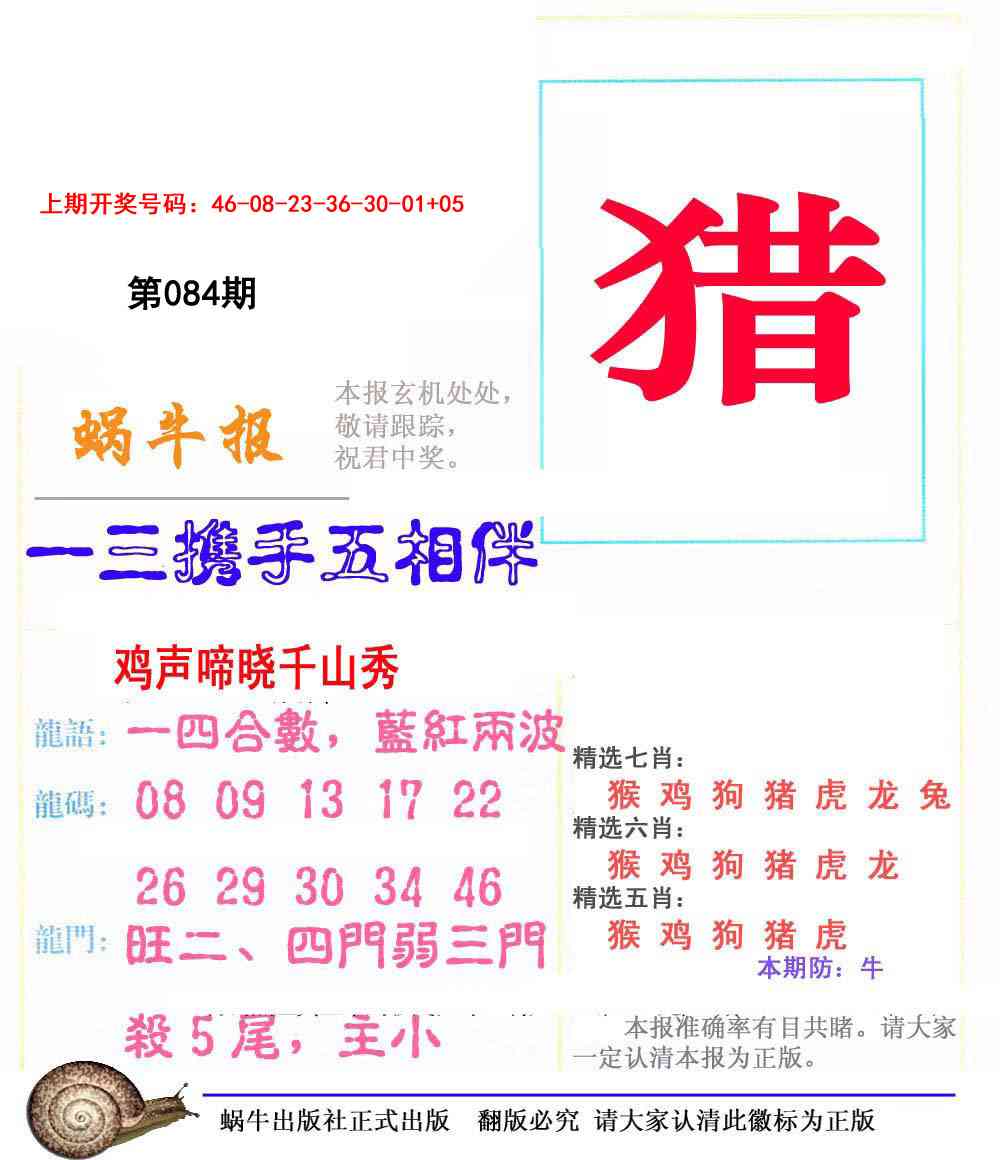 084期蜗牛报[图]