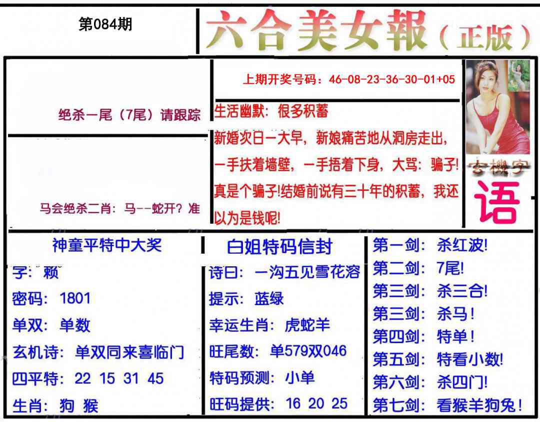 084期美女报[图]